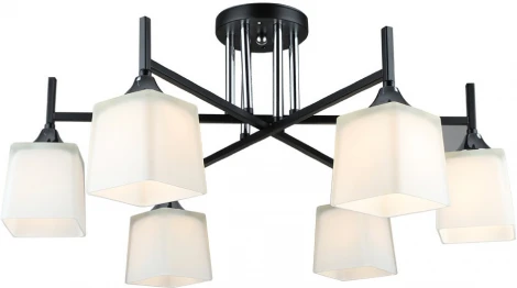 Потолочная люстра Wedo Light Semel WD3640/6C-BK-CR-WT