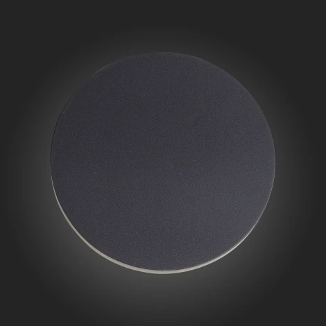 Настенный светильник уличный ST Luce Contario SL087.401.01 (LED, 220V, круглые, IP54)