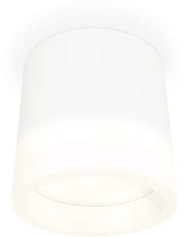 Накладной точечный светильник Ambrella Techno Spot XS8110001 (220V, круглые)