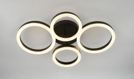 Потолочная люстра светодиодная с пультом кольцо Rivoli Flora 6191-201 (регулировка яркости, 220V, кольцо)