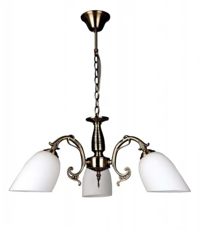 Подвесная люстра Omnilux 564 OML-56407-03 (220V, на цепи)