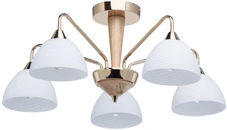 Потолочная люстра MW-Light Николь 364014105