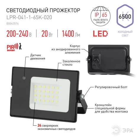 Прожектор уличный Эра LPR-041-1-65K-020 (LED, 220V, IP65)