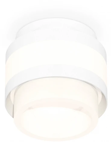 Накладной точечный светильник Ambrella Techno Spot XS8418001 (220V, круглые)