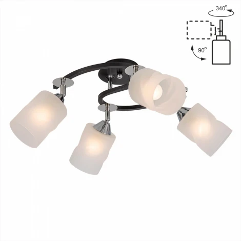 Потолочная люстра Citilux Сиерра CL119241 (220V)