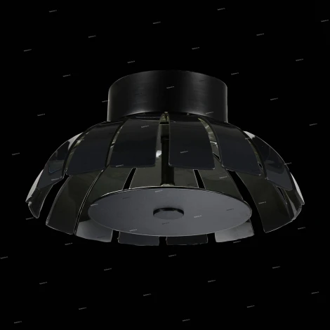 Потолочный светильник уличный ST Luce Corto SL559.703.01