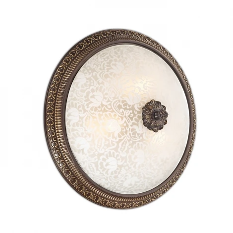 Настенно-потолочный светильник Odeon Light Maipa 2587/1W