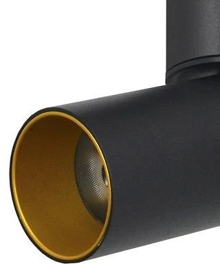 Спот Lumien Hall Torin 8001/1CS-BK-GD