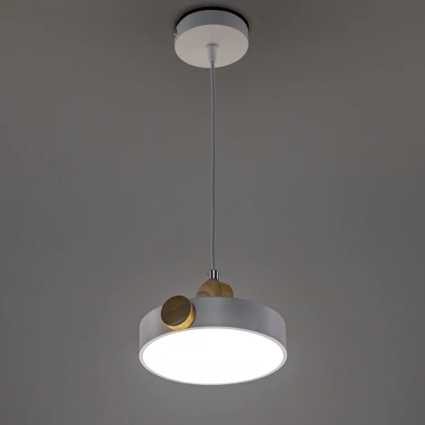 Подвесной светильник светодиодный Ritter Scandia 52077 1