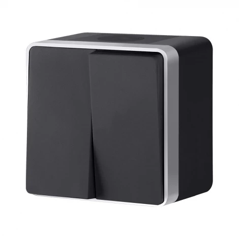 Выключатель двухклавишный влагозащищенный Gallant Werkel W5020234 (черный с серебром)