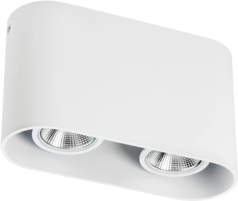 Накладной точечный светильник Lightstar Rullo 214866 (220V, круглые)