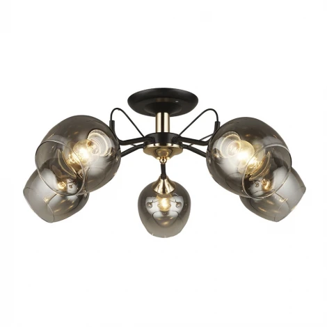 Потолочная люстра Wedo Light Isora 66606.01.69.05