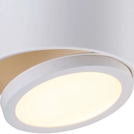 Спот карданный Omnilux Canicatt OML-20501-01 (LED, 220V, круглые)