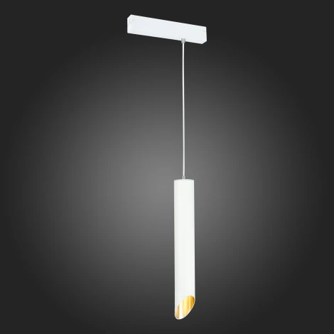 Трековый светильник однофазный 220V Skyline 220 ST508.513.01 ST Luce (круглые)