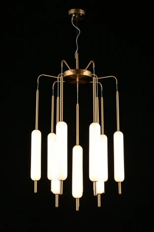 Подвесная люстра Aployt Carla APL.010.03.80 (LED, 220V, на тросе)