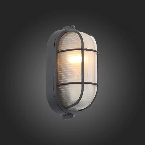 Настенный светильник уличный ST Luce Vecchio SL075.411.01