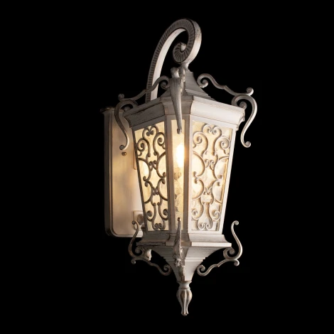 Настенный уличный фонарь Loft It Tremezzo 100019W WBG (220V, IP55)