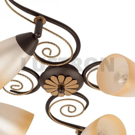 Потолочная люстра MW-Light Аида 323014404