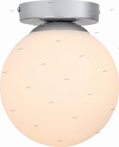 Настенно-потолочный светильник ST Luce Acini SL717.501.01