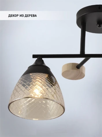 Потолочная люстра Seven Fires Aislin SF3375/2C-BK-WD-AM