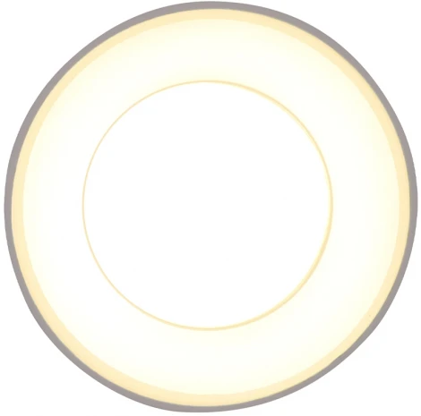 Точечный накладной светодиодный светильник TECHNO SPOT TN3411 (220V)