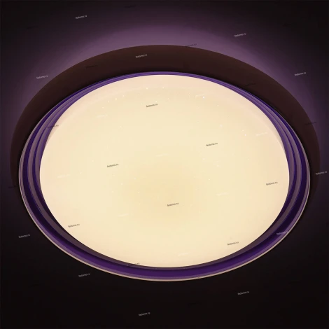Потолочный светильник MW-Light Ривз 674011701