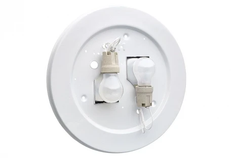 Настенно-потолочный светильник Sonex Ondina 233