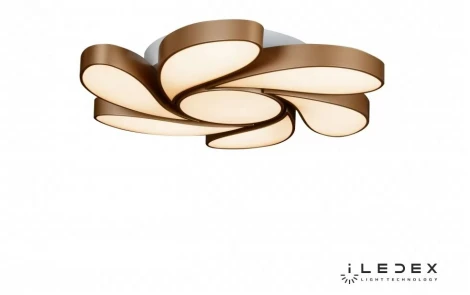 Потолочная люстра iLedex Flower 72W GL
