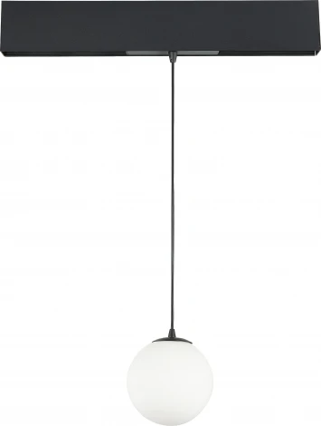 Трековый светодиодный светильник для магнитного шинопровода 10Вт Donolux Bubble DL18794WW10BSDim (24V, шар)