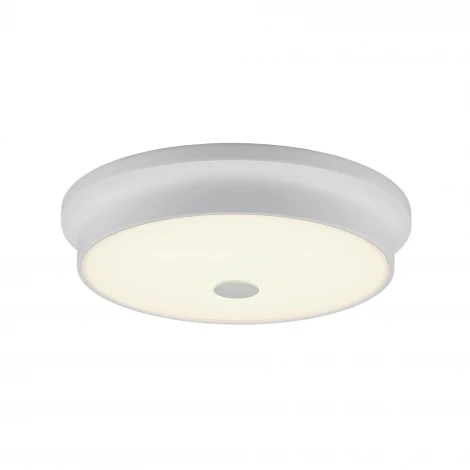 Настенно-потолочный светильник Citilux Фостер-2 CL706230