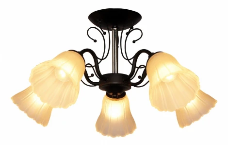 Потолочная люстра IDLamp Lauretta 872/5PF-Argentoscuro