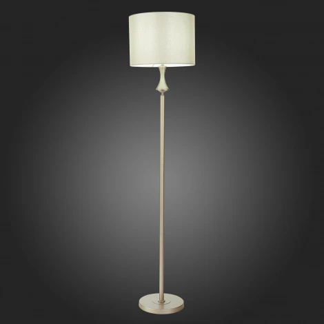 Торшер Evoluce Elida SLE107705-01