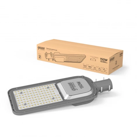 Уличный консольный светильник светодиодный Gauss 629534405