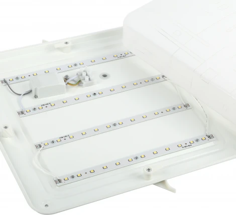 Потолочный светильник светодиодный ЭРА SPB-6-24 Nancy S (220V)