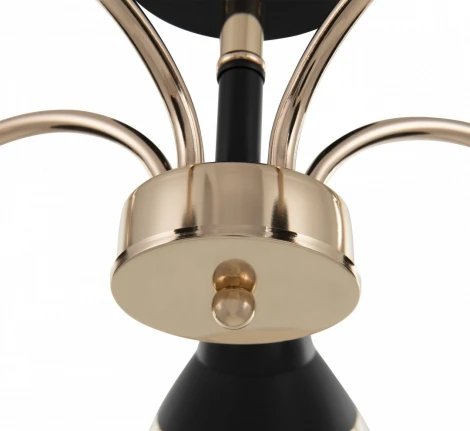 Потолочная люстра на штанге Arte Milano Napoli 320119/5 FG+BK (220V)