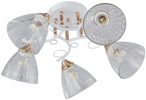 Потолочная люстра на штанге Arte Milano AMALFI-321395 321395/5A WH+FG (220V)