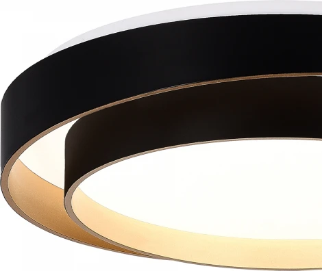 Потолочный светильник Evoluce Crosby SLE6009-402-01 Черный/Белый LED 1*50W 3000K/4000K/6000K