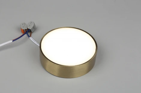 Потолочный светильник круглый Aployt Evon APL.0114.29.12 (LED, 220V, круглые)