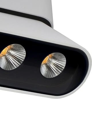 Спот Lumien Hall Фергус 8005/3CS-WT-BK