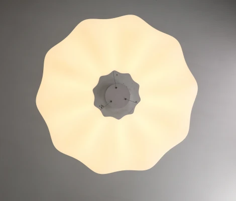 Подвесной светильник с пультом Zortes Soft ZRS.1119.02 (LED, 220V, на тросе, цветы)