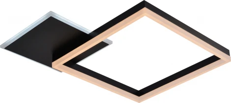 Потолочная люстра светодиодная с пультом регулировкой цветовой температуры и яркости Rivoli Sandra 6146-101