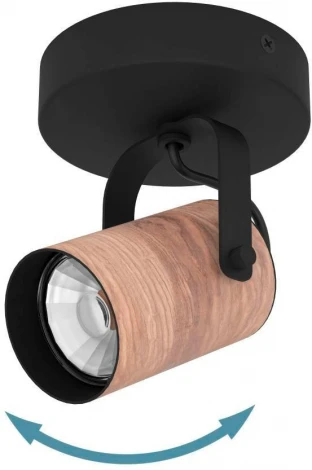 Спот Eglo CAYUCA 900436