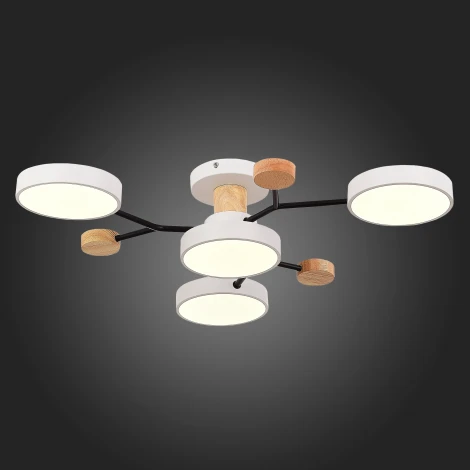 Потолочная люстра на штанге Evoluce Faema SLE6006-502-04