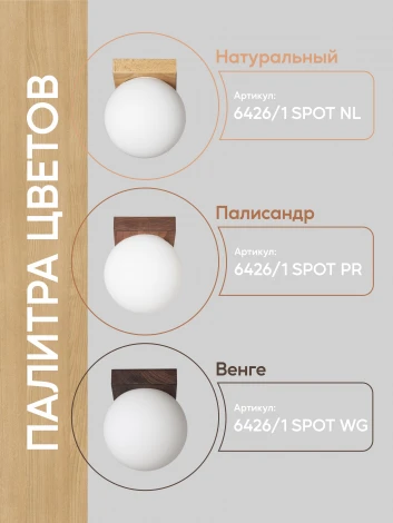 Потолочный светильник прямоугольный Мелодия Света SS1N 000036819