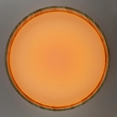 Потолочный светильник RGB круглый светодиодный с пультом Citilux Enzo CL753452G (220V, круглые)