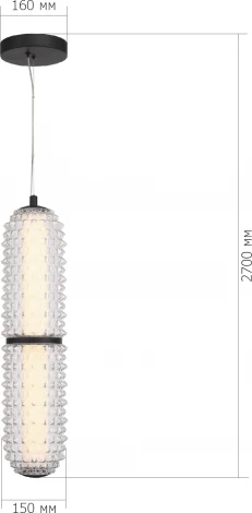 Подвесной светильник ST Luce Saguaro SL6144.403.01 черный/прозрачный LED 1*22W 4000K (220V, на тросе)