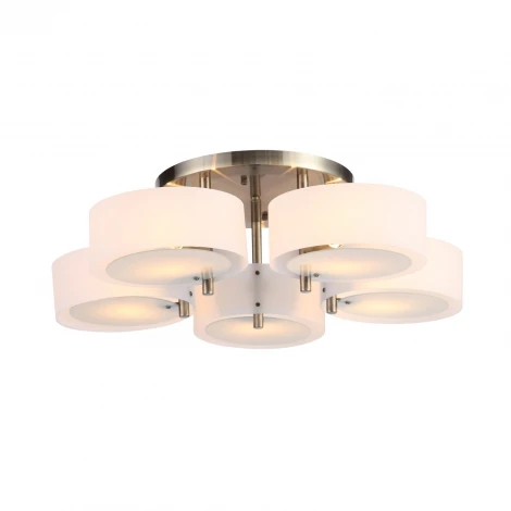 Потолочная люстра ST Luce Foresta SL483.352.05