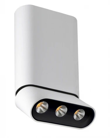 Спот Lumien Hall Фергус 8005/3CM-WT-BK