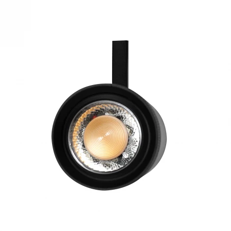 Трековый светильник светодиодный однофазный/трехфазный 220V 20W Lightstar Canno Pro 304207