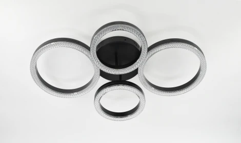 Потолочная люстра светодиодная с пультом кольцо Rivoli Flora 6191-201 (регулировка яркости, 220V, кольцо)